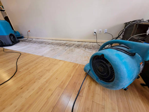 Professional Flood Damage Cleanup technician working in Dillon, CO